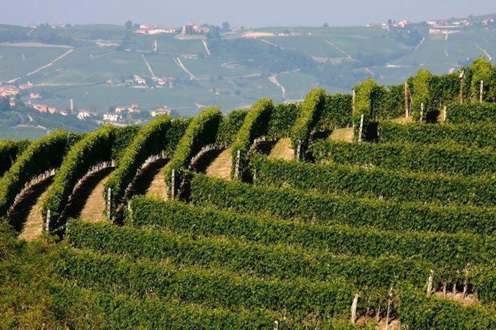 Cascina Rabalot Bauernhof Diano dʼAlba