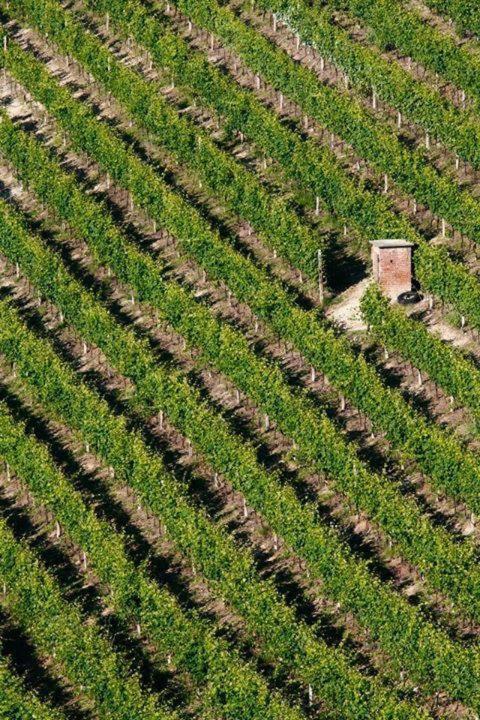 Cascina Rabalot Farm stay